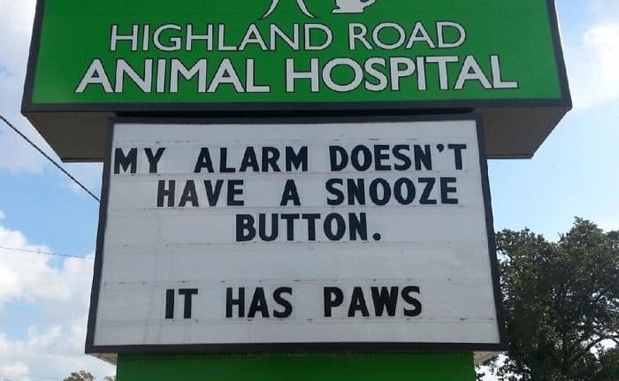 Genius Vet Signs alarm