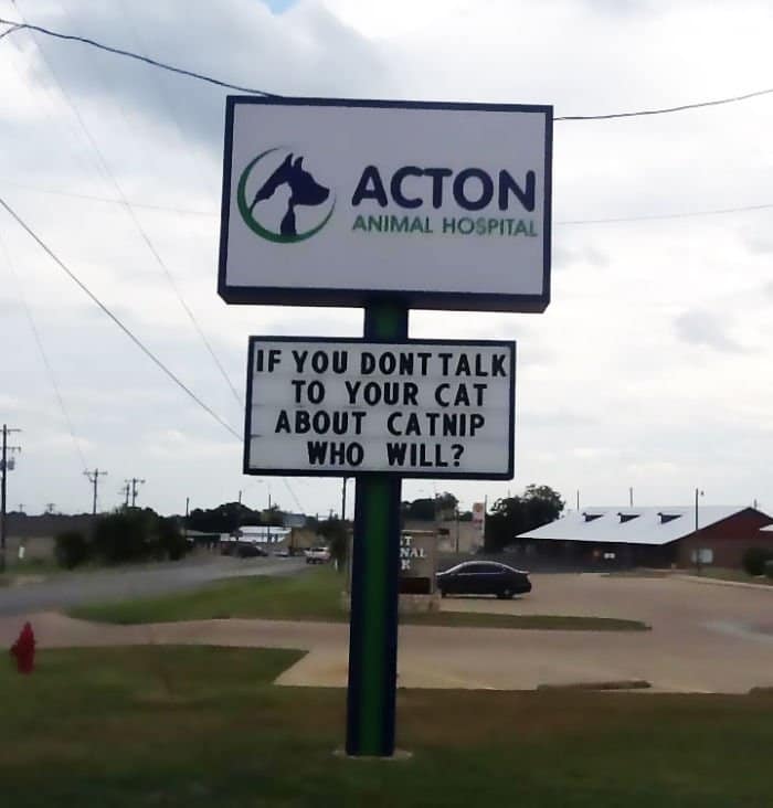 Genius Vet Signs catnip