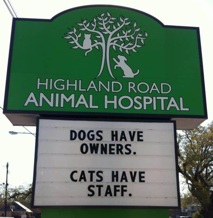 Genius Vet Signs cats have staff