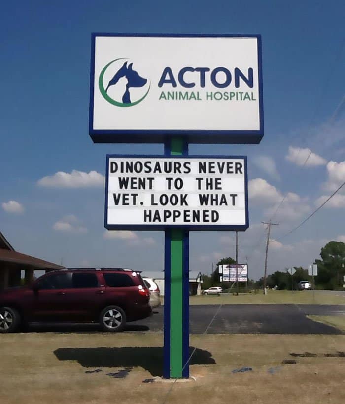 Genius Vet Signs dinosaurs never went to the vet