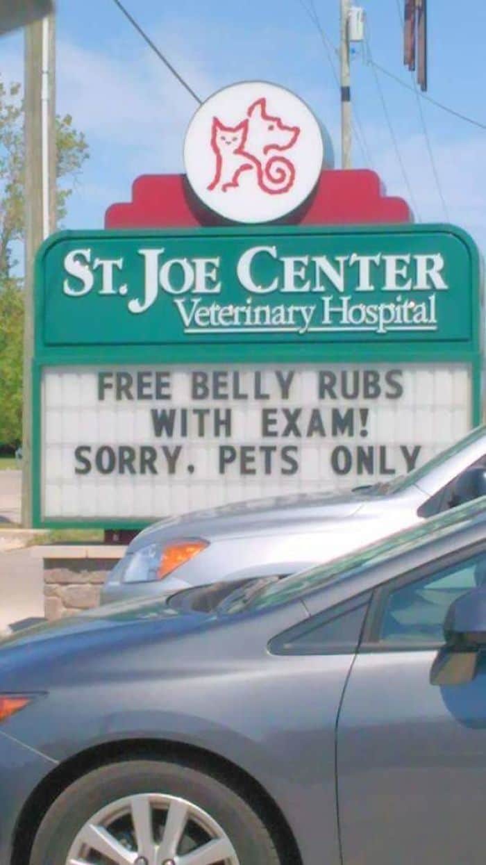 Genius Vet Signs free belly rubs