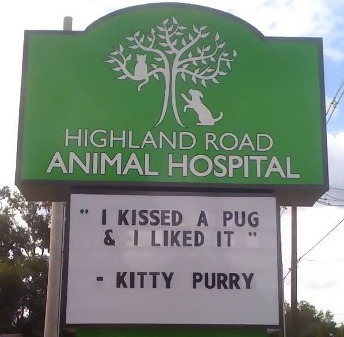 Genius Vet Signs i kissed a dog