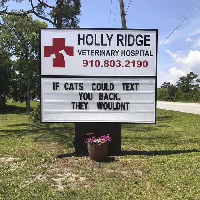 Genius Vet Signs if cats could text back