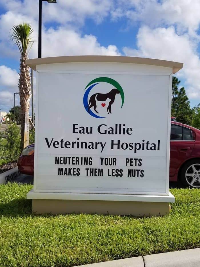 Genius Vet Signs less nuts