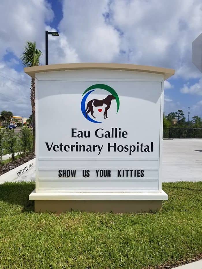 Genius Vet Signs show us your kitties