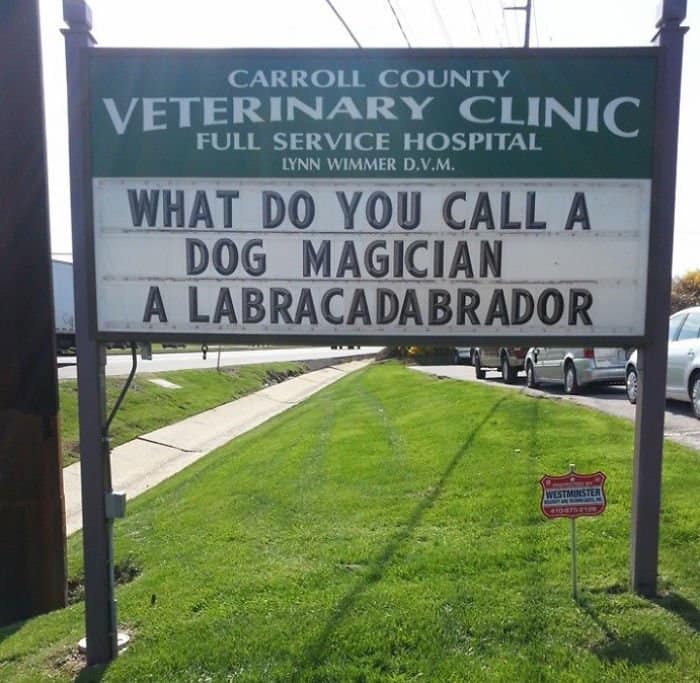Genius Vet Signs what do you call a dog magician