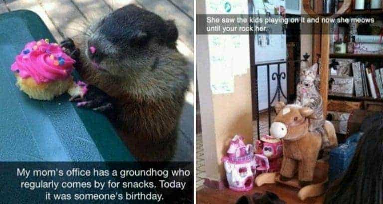 Hilarious Animal-Related Snapchats