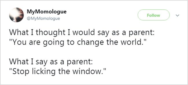 Honest Tweets About Parenting stop licking the window