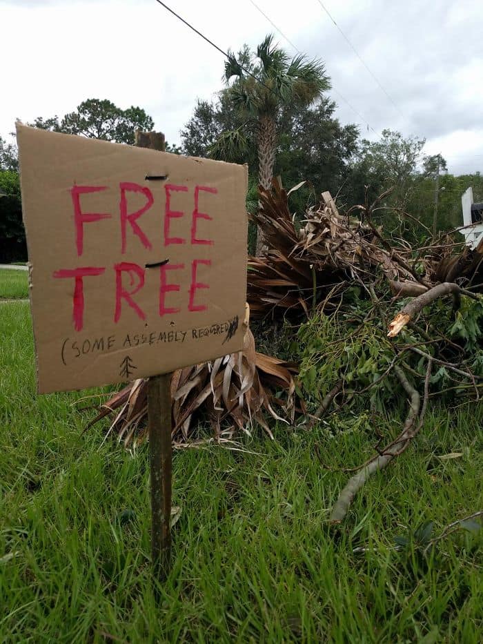 Hurricane Irma free tree