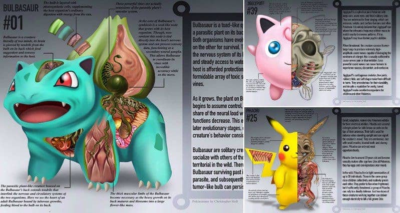 Illustrations Show What's Under The Skin Of Your Favorite Pokemon