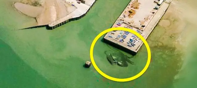 Interesting Things That Were Found On Google Maps giant crab