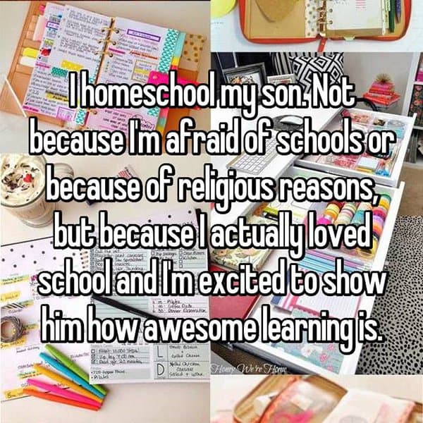 Opinions On Homeschooling loved school