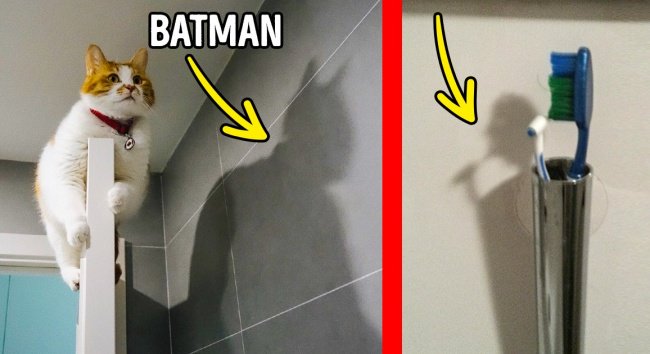 Photos That Will Trick Your Brain shadows