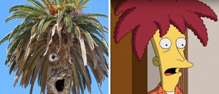 Pop Culture Icons In Disguise palm tree sideshow bob
