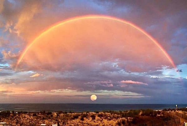 Rare Coincidences sunset moon picture