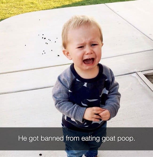 Reasons That Kids Had Major Meltdowns goat poop