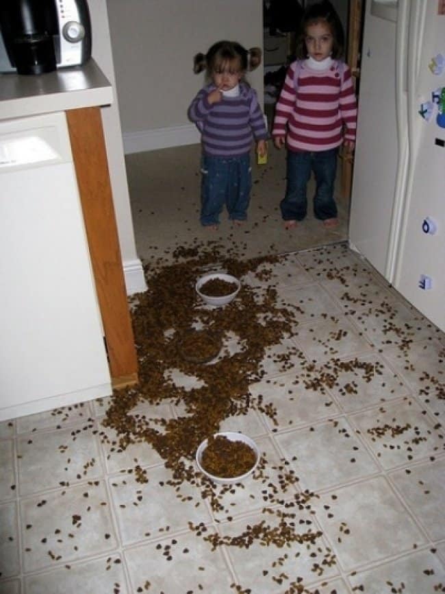 Reasons That Kids Should Never Be Left Alone pet food everywhere