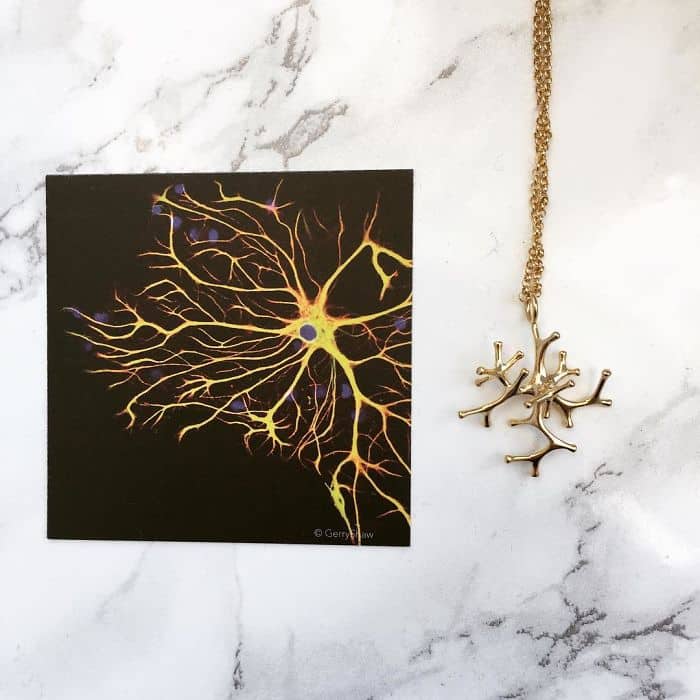 Science Inspired Jewelry Pieces astrocyte necklace