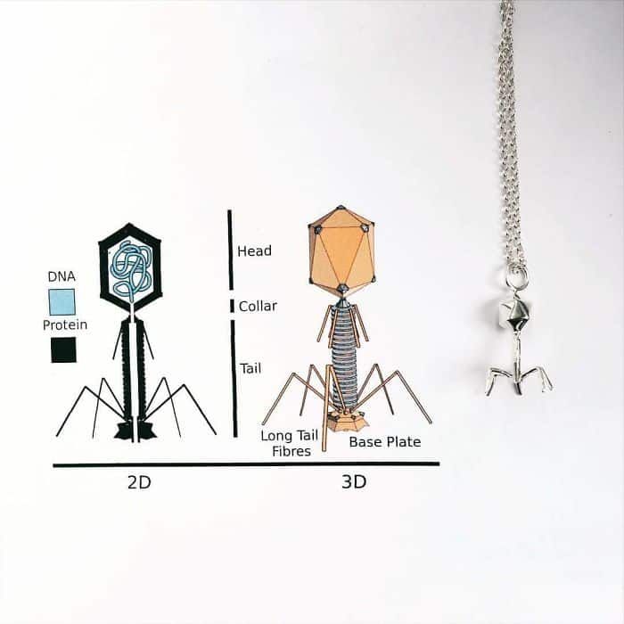 Science Inspired Jewelry Pieces backteriophage necklace