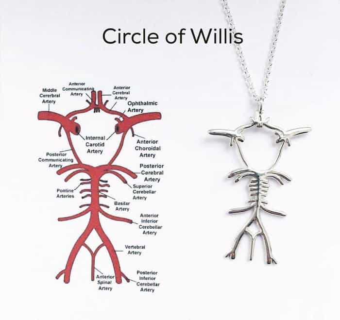 Science Inspired Jewelry Pieces circle of willis