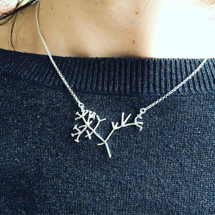 Science Inspired Jewelry Pieces phylogenetic tree necklace