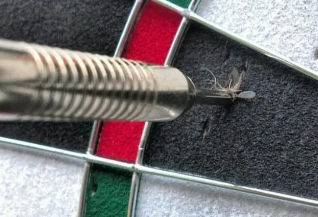 Amazing Coincidences mosquito dart
