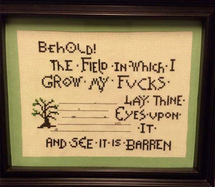 Amusing Cross Stitches behold the field