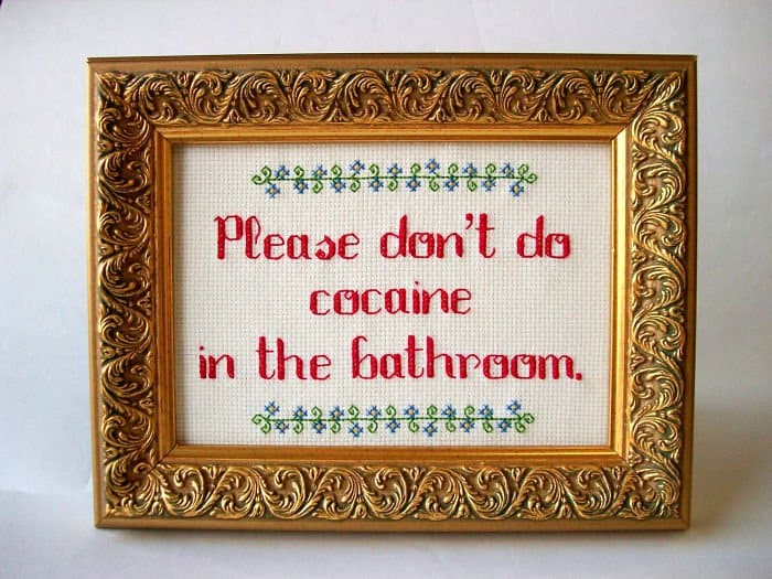 Amusing Cross Stitches please dont do in the bathroom