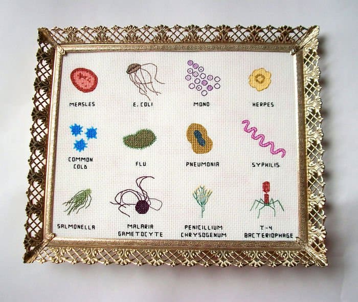 Amusing Cross Stitches viruses and illnesses