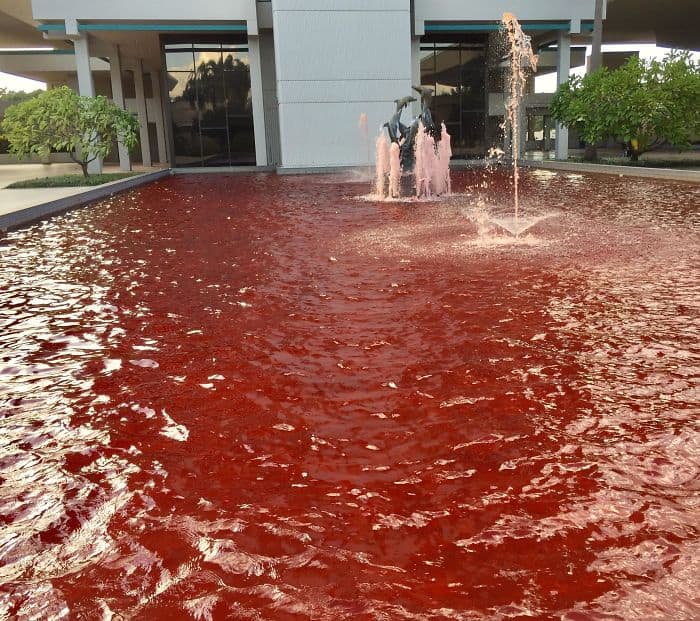 Amusing Epic Design Fails red fountain