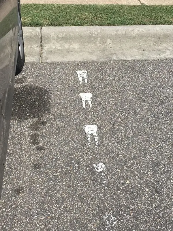 Dentists With An Awesome Sense Of Humor parking bays teeth