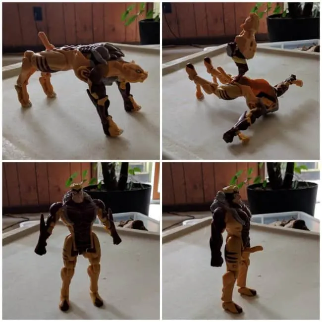 Epic Fails inappropriate toy