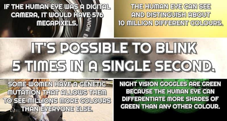 Fascinating Facts About The Human Eye