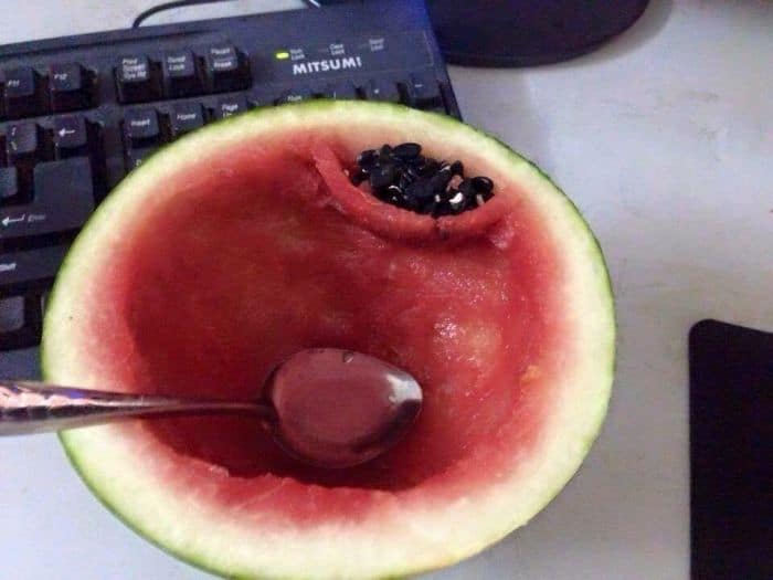 Genius Life Hacks wrap how to eat a watermelon
