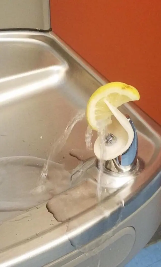Genius People lemon water fountain