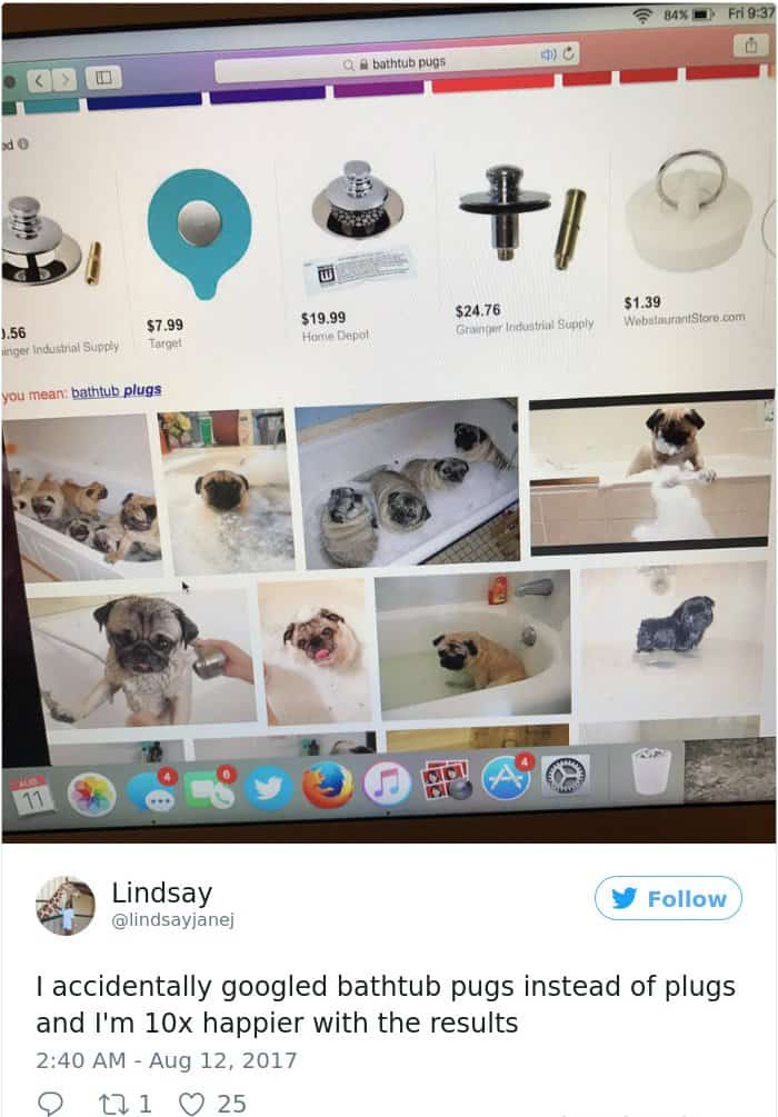 Googled The Wrong Thing bathtub pugs