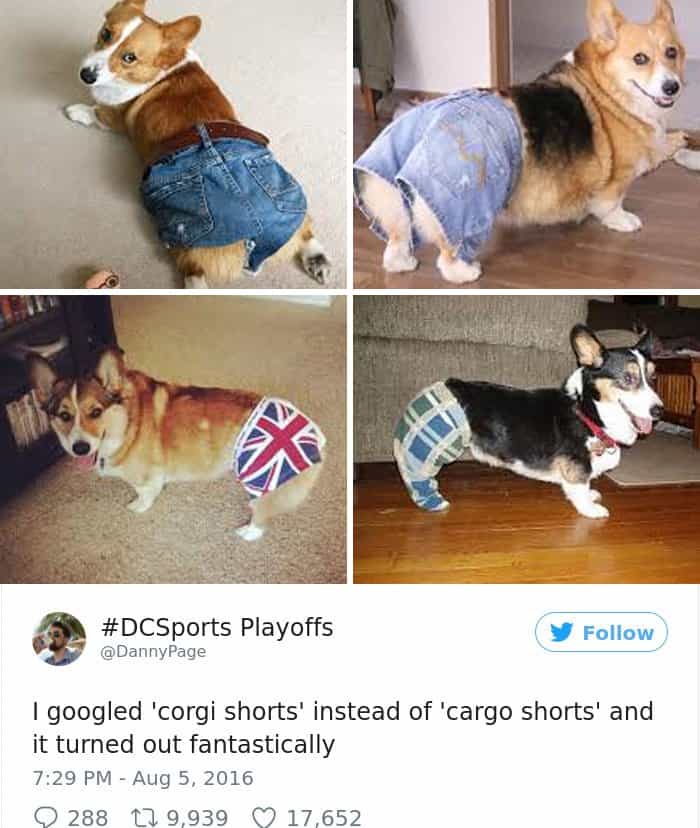 Googled The Wrong Thing corgi shorts