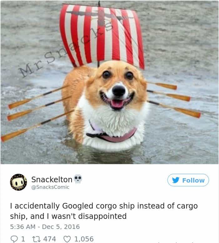 Googled The Wrong Thing corgo ship