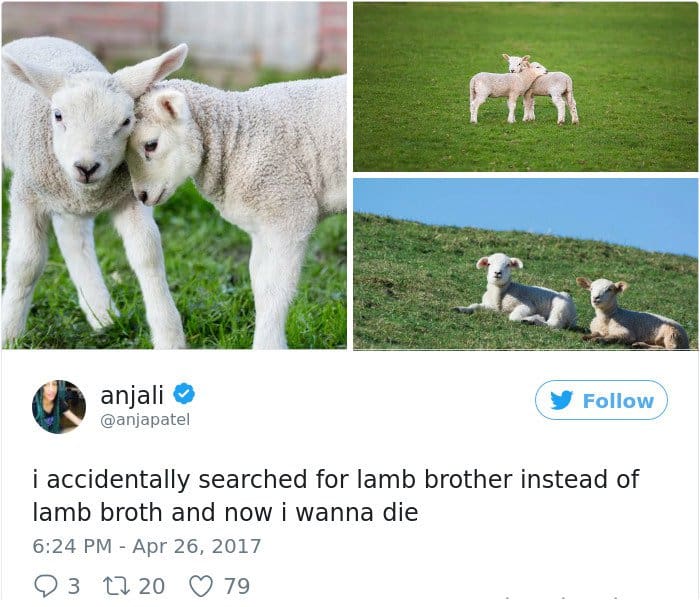 Googled The Wrong Thing lamb brother