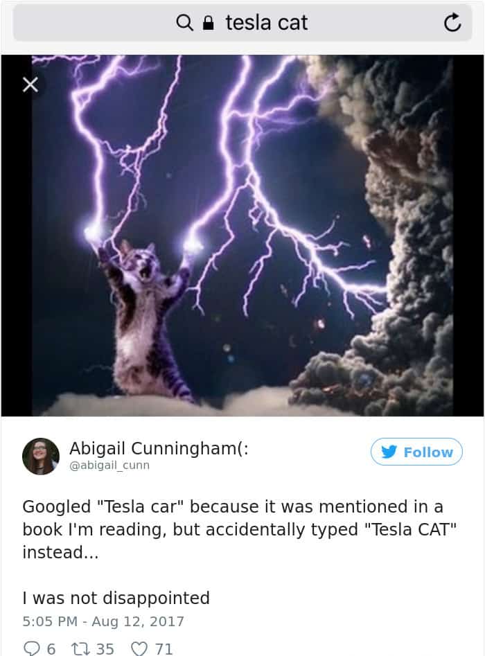 Googled The Wrong Thing tesla cat