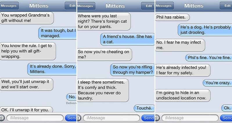 Hilarious Texts Loaded With Cat-titude