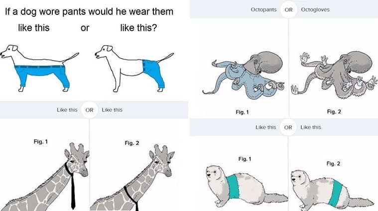 How Would A Dog Wear His Pants
