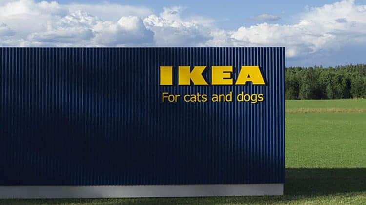 IKEA Just Launched A Pet Furniture Collection