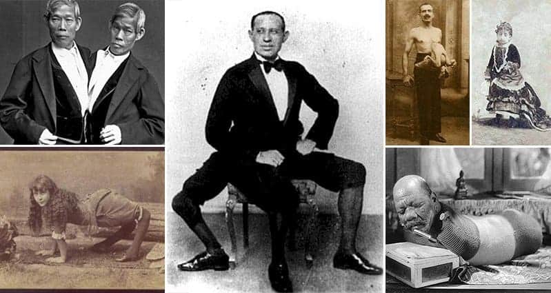 Remarkable People Who Made Their Living From Being In Sideshows