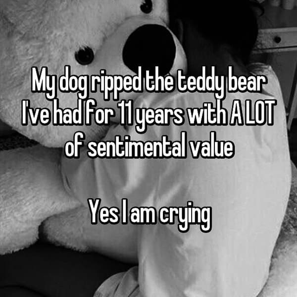 Reveal The Most Priceless Things They Have Lost teddy bear