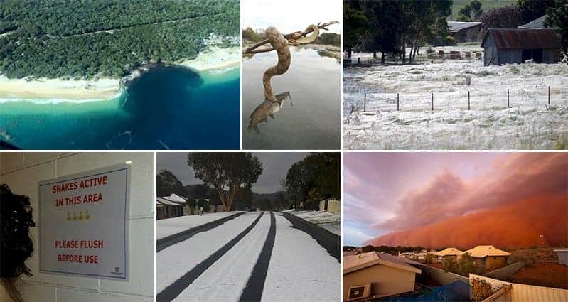 Scary Things In Australia That Will Have You Running For The Hills