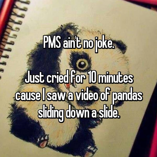 Things Girls Have Cried About Struggling With PMS pandas