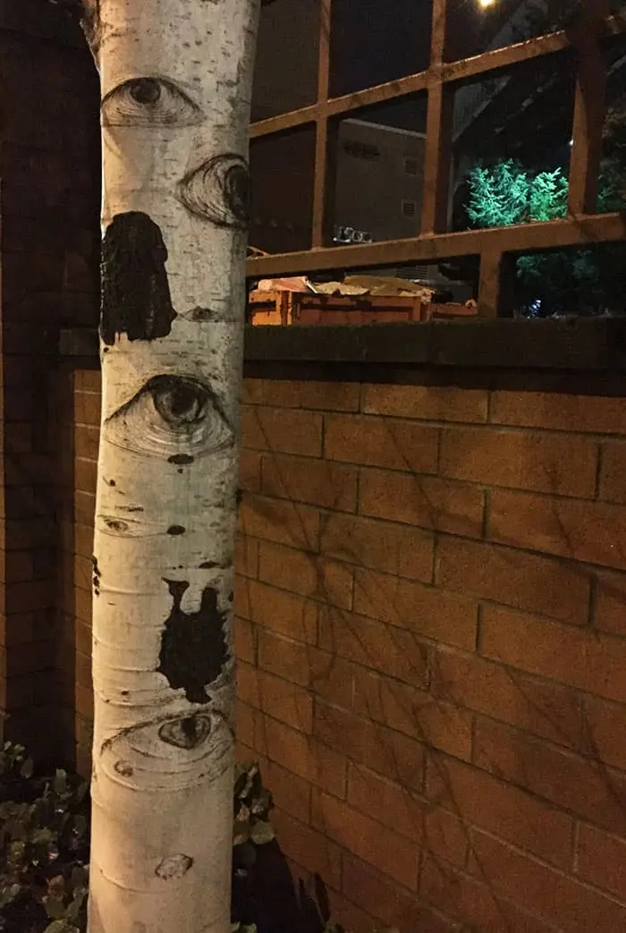 Trees That Look Like Something Else watching you