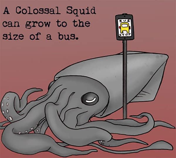 Weird Animal Facts colossal squid