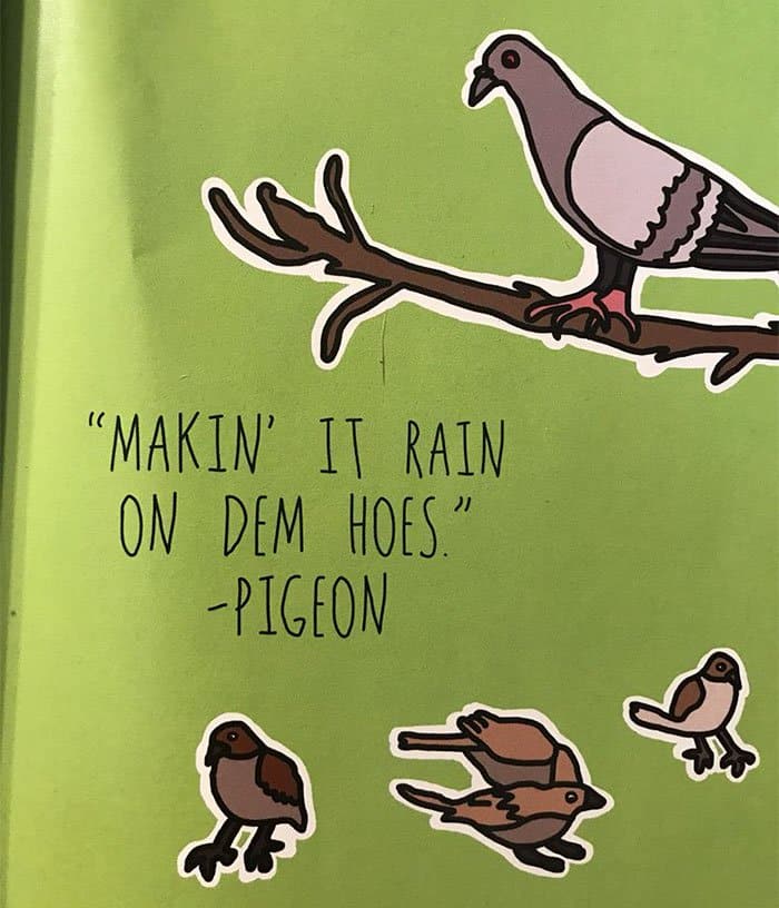 grandma buys Hilariously Shocking Adult Book pigeon